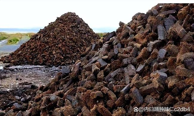 美记者点破特朗普访华小心思 嘴甜心狠套路深