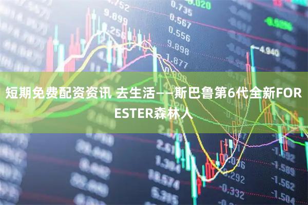 短期免费配资资讯 去生活——斯巴鲁第6代全新FORESTER森林人