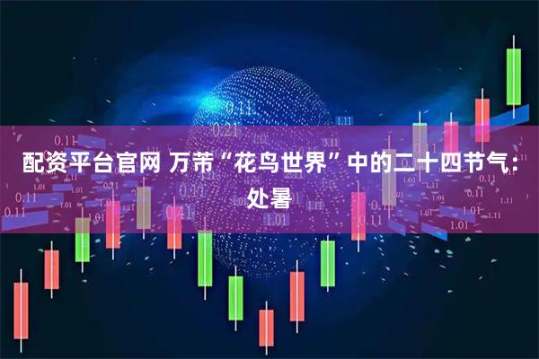 配资平台官网 万芾“花鸟世界”中的二十四节气：处暑